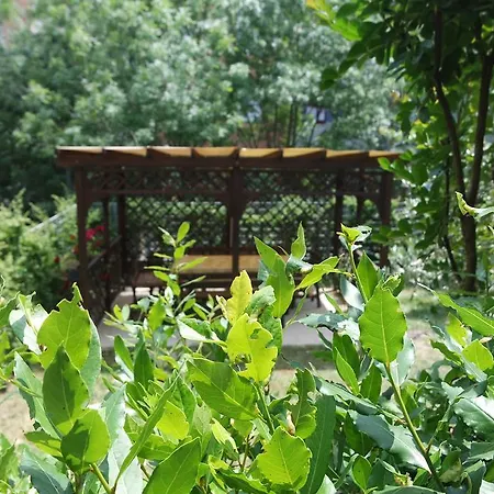 فندق مبيت وإفطار La Piracanta *